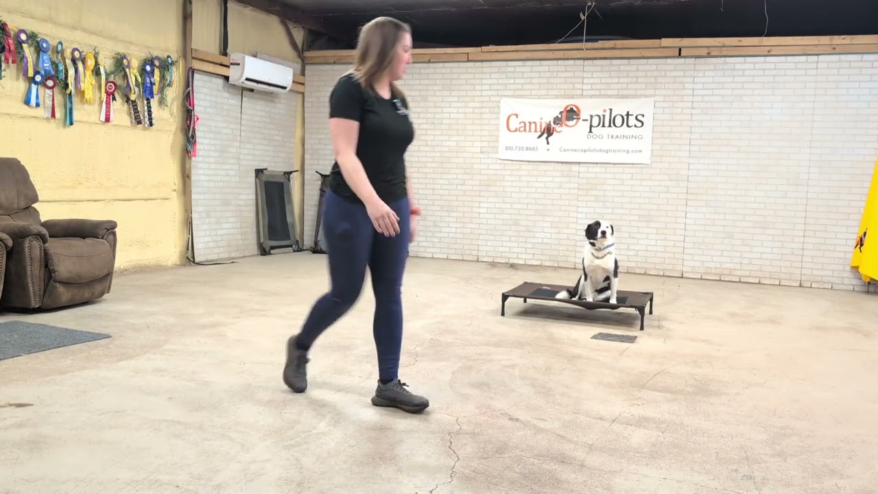 Cole and copper update