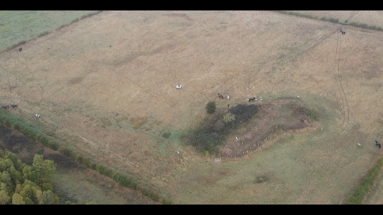 Grove and Rufford Cubbing in Nottinghamshire