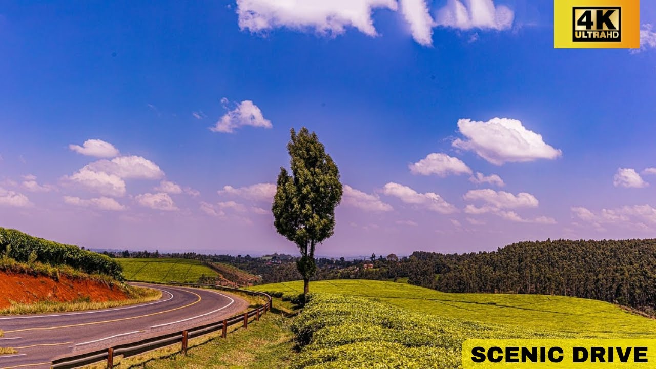 4k Scenic Road Drive. Limuru /Tigoni - Kenya  ASMR (With Music)