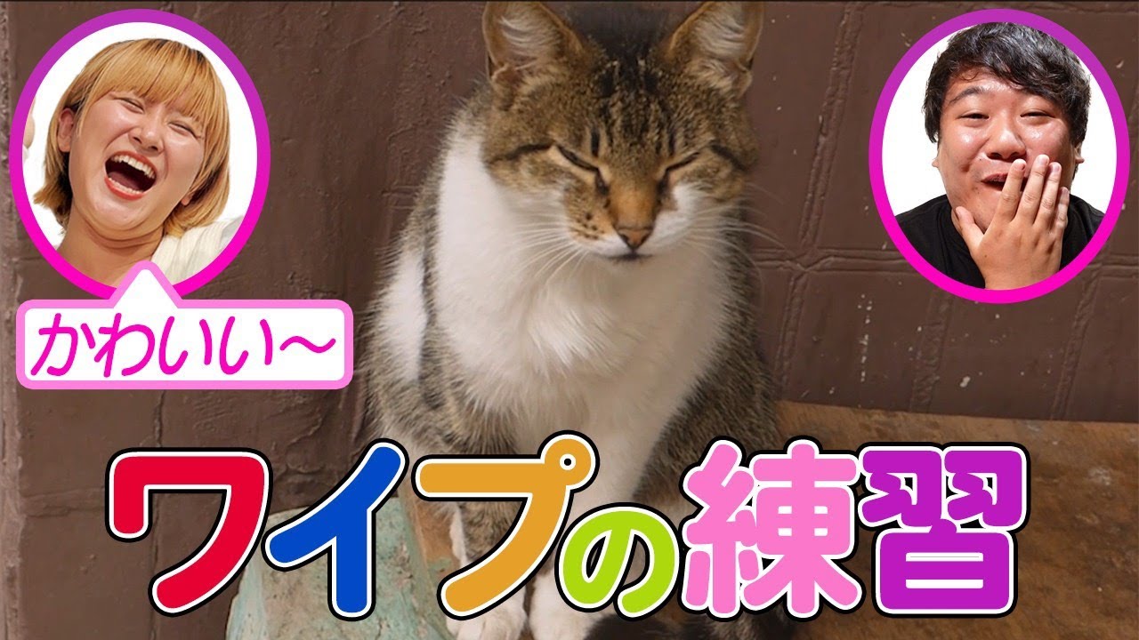 どんな映像にもワイプでリアクションしつづけよう【ラランド】