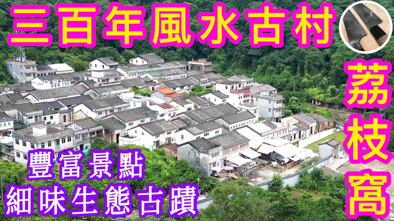 【荔枝窩】⭐️香港僅存古村⭐️片尾突發緊急狀況‼️助大家增強危機意識‼️珍貴體驗🏵客家村民寶地💠風水林🌳梅子林、蛤塘、紅樹林、空心樹、白花魚藤🏞️