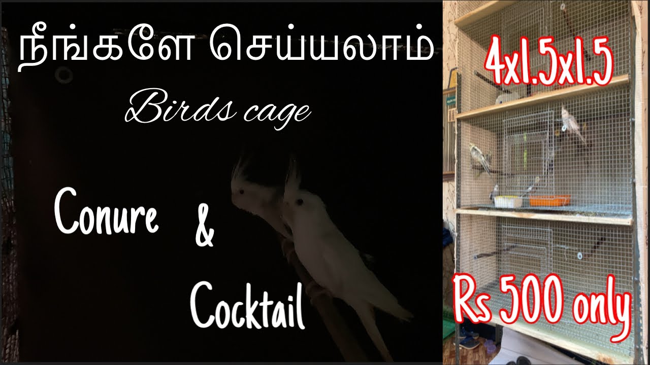 Mesh cage making - Amazing skills | How to make 4 partition cage #cage #making #partition #cockatiel