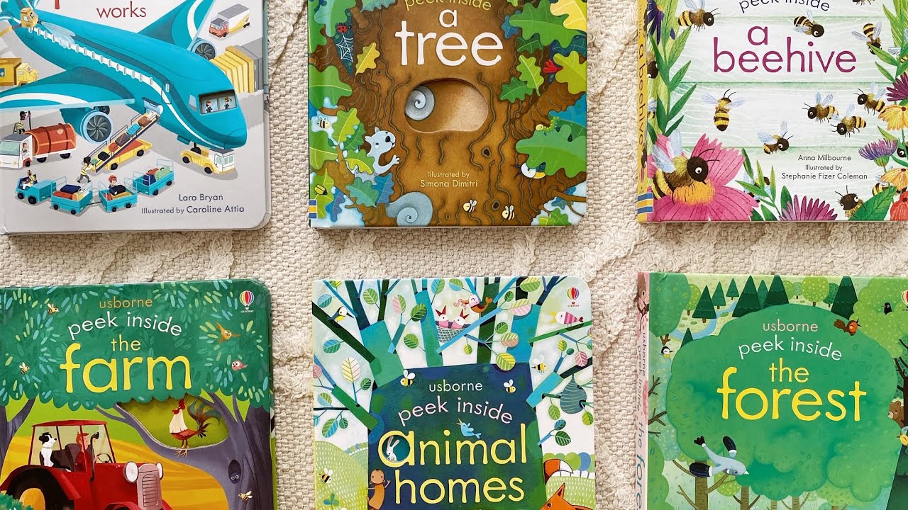 Usborne Peek Inside Series | Plane, Tree, Beehive, Farm, Animal Homes, Forest | PaperPie