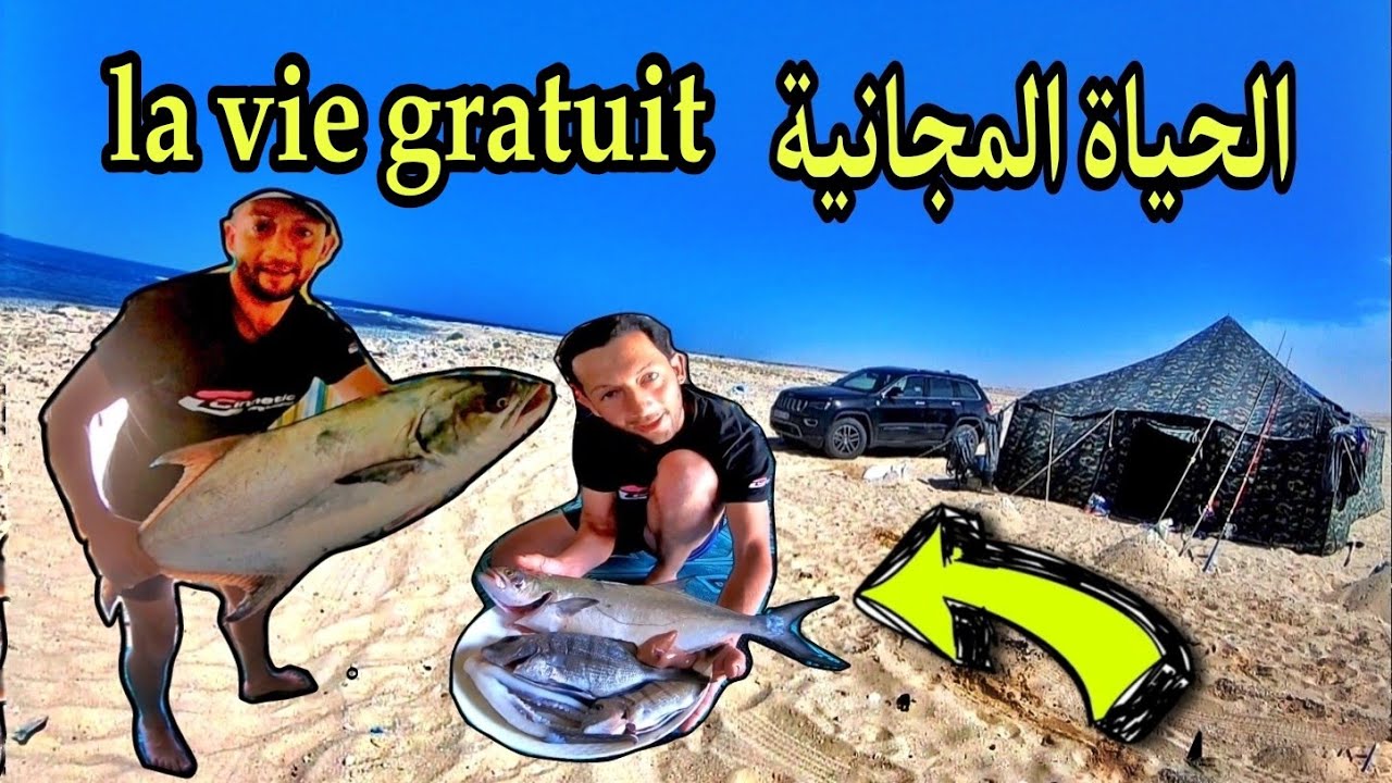 #شاهد  متعة الصيادين في الصحراء بصفر درهم 💥😉