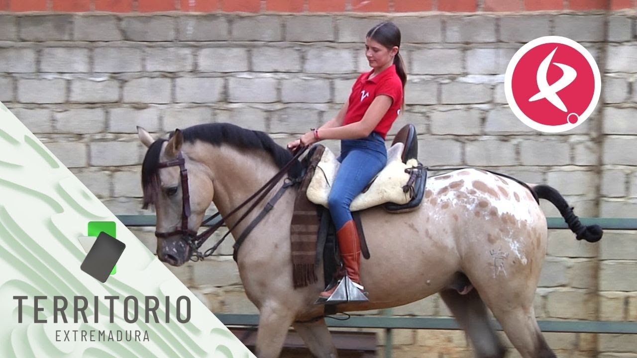 Isabel es campeona de doma con solo 12 años | Territorio Extremadura