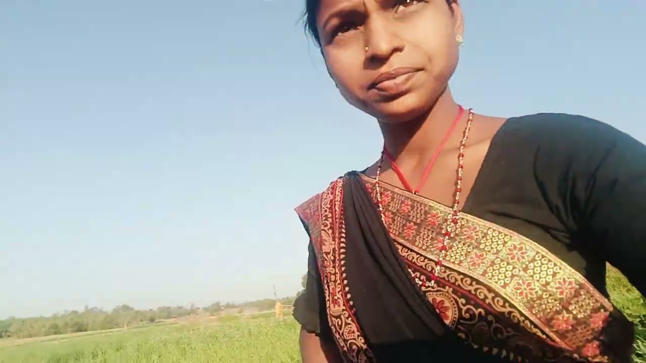 #villagelife #गांव देहात टमाटर काखेती