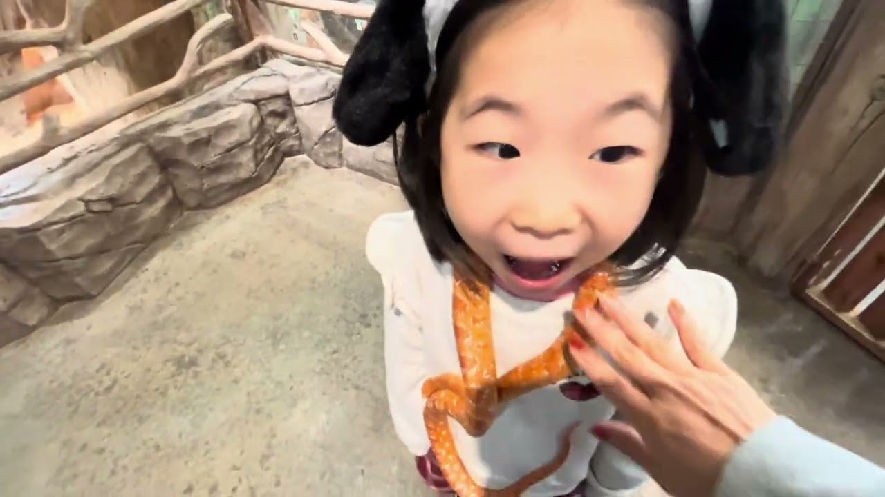 실내동물원🐰🐷🐱🦎🥕