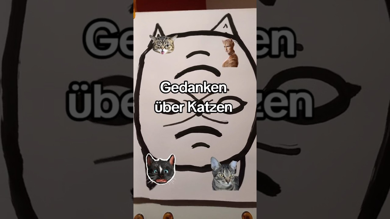 Katzen Katzenvideo kratzen Kater Miez entlaufen Streuner Katzenklo Katzendreck Katzenfutter Einstreu
