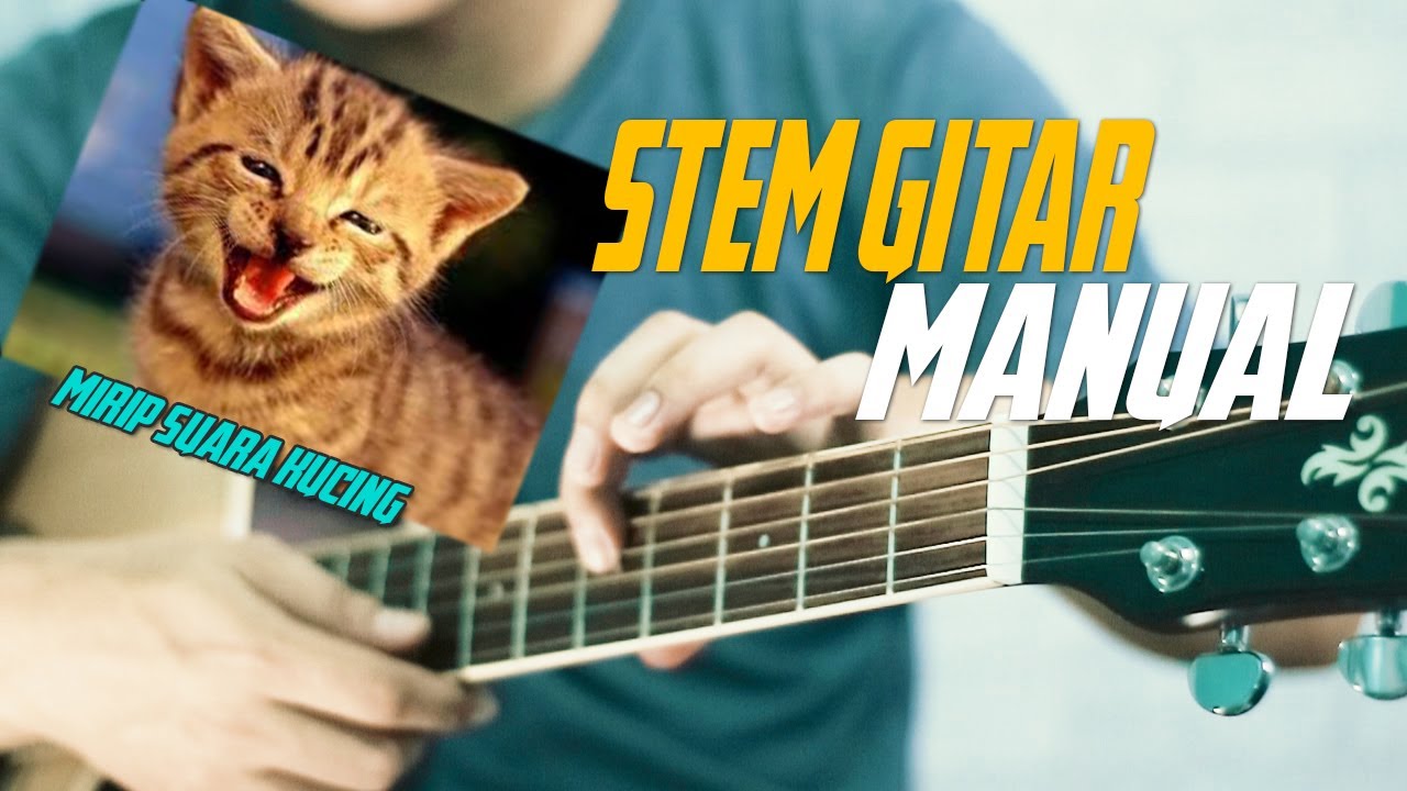 Cara stem gitar Manual || Tutorial Gitar
