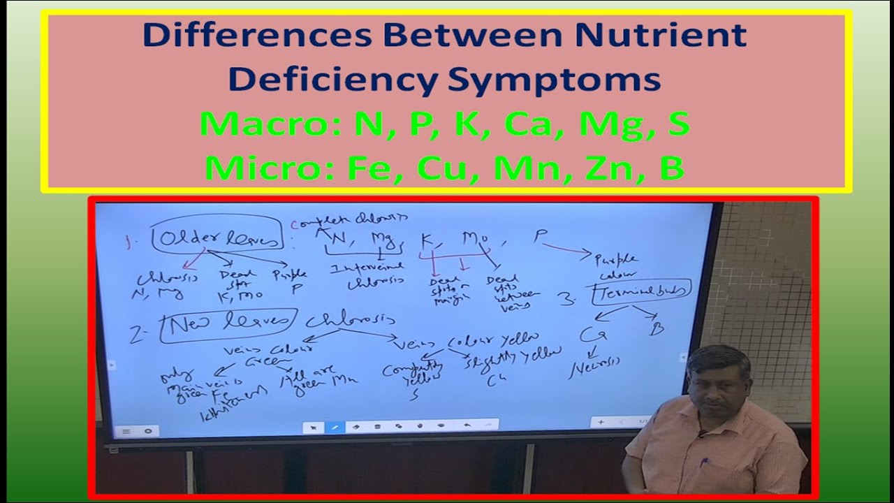 Differences Between Nutrient Deficiency Symptoms