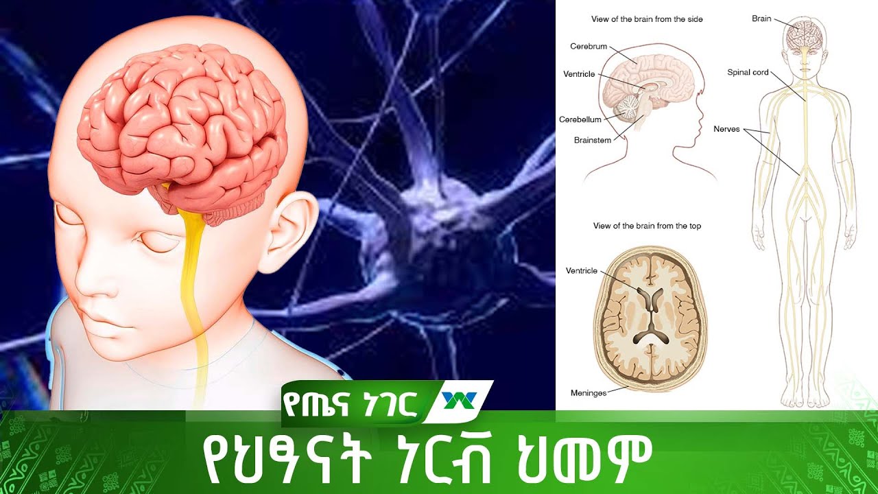 የህፃናት ነርቭ ህመም