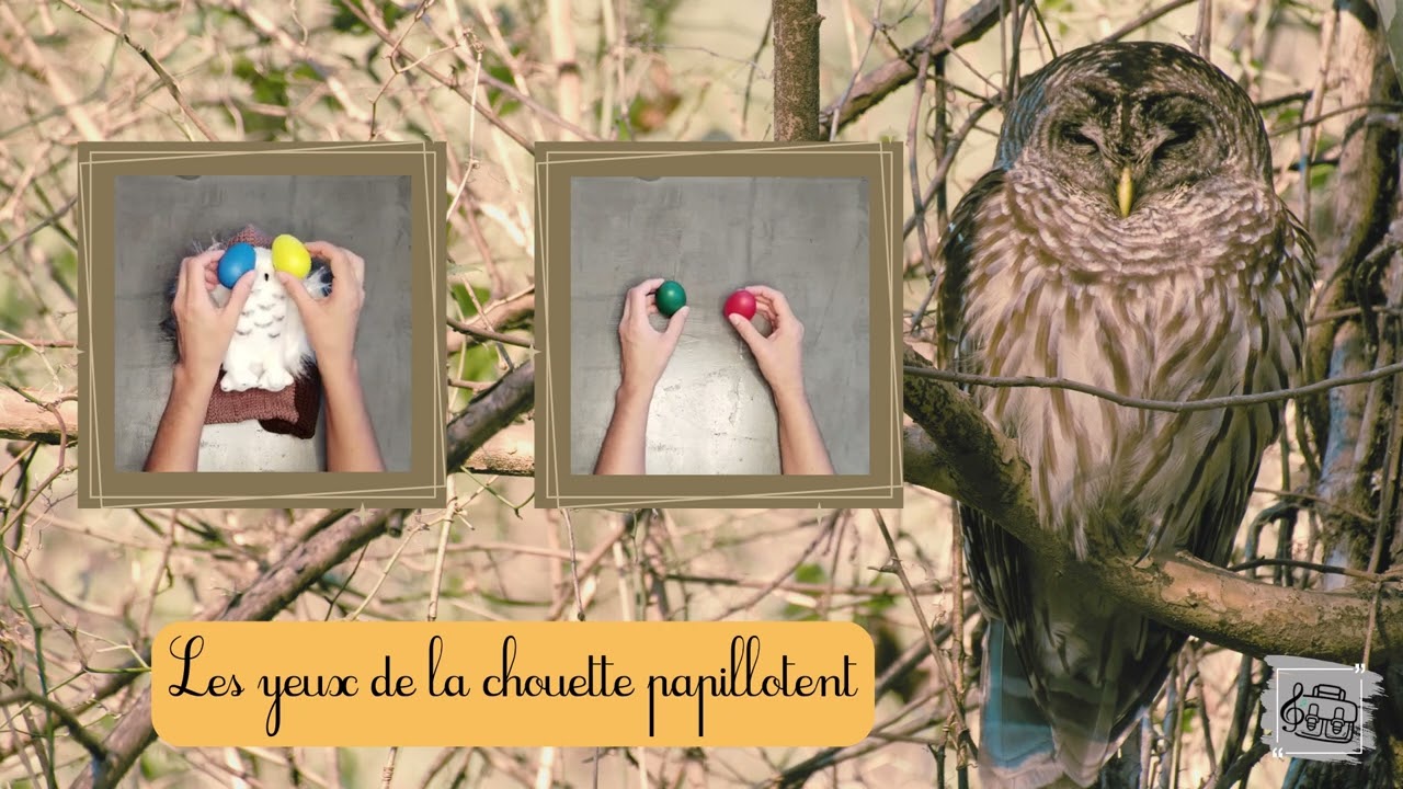 Les yeux de la chouette - Cartable Musical