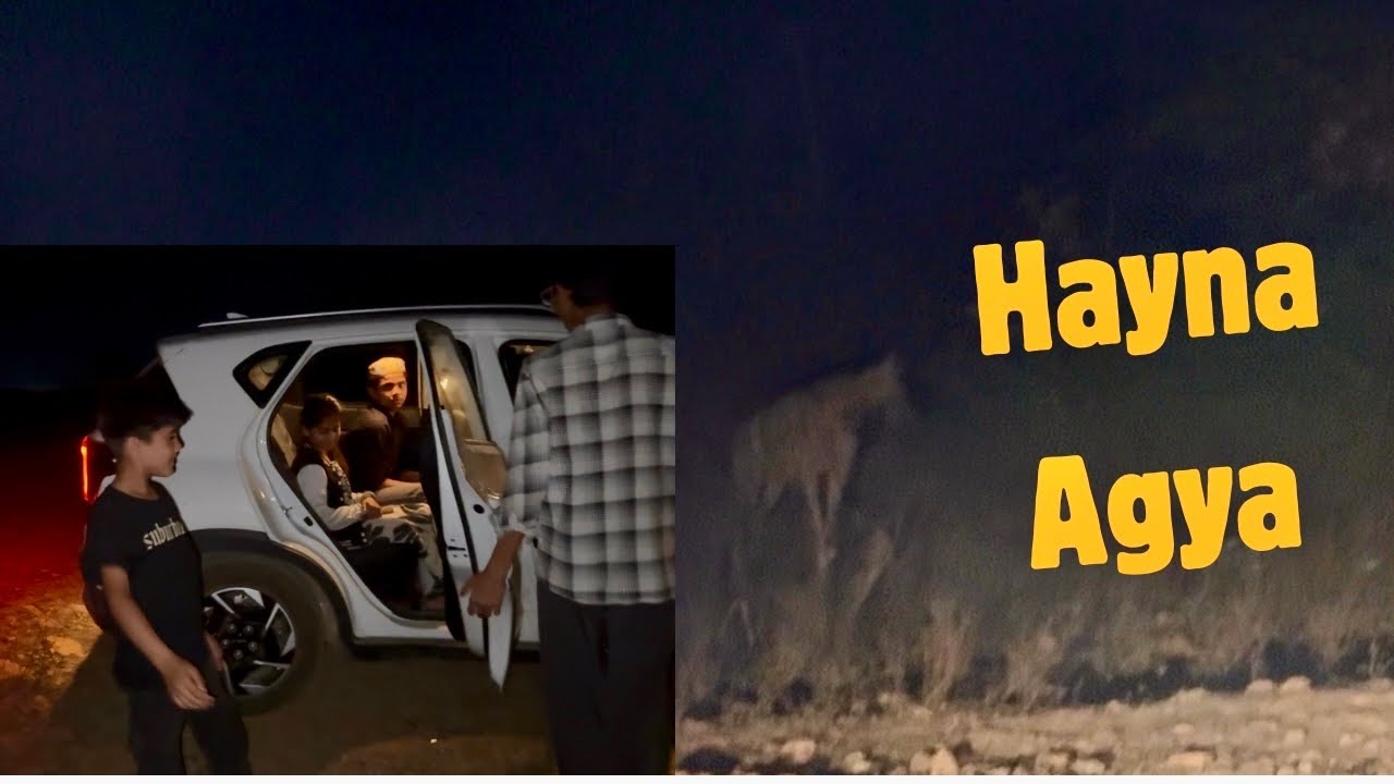 Car Ke Samne Hayna Agya | Night Safari ||#adventure #ranthambore #wildlife 