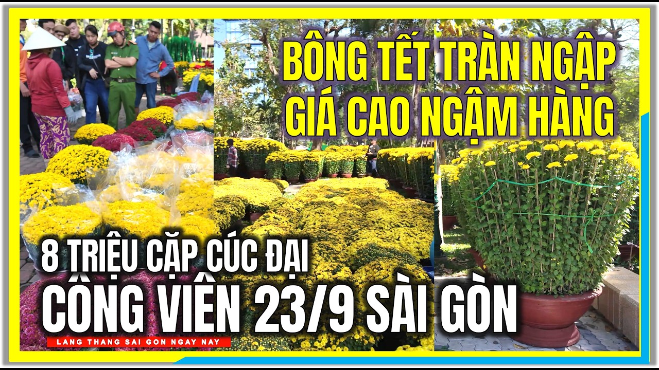 GIÁ CAO NGẬM HÀNG ! BÔNG TẾT TRÀN NGẬP CV 23/9 SÀI GÒN | 8 TRIỆU CẶP CÚC ĐẠI | TẾT SÀI GÒN 2026