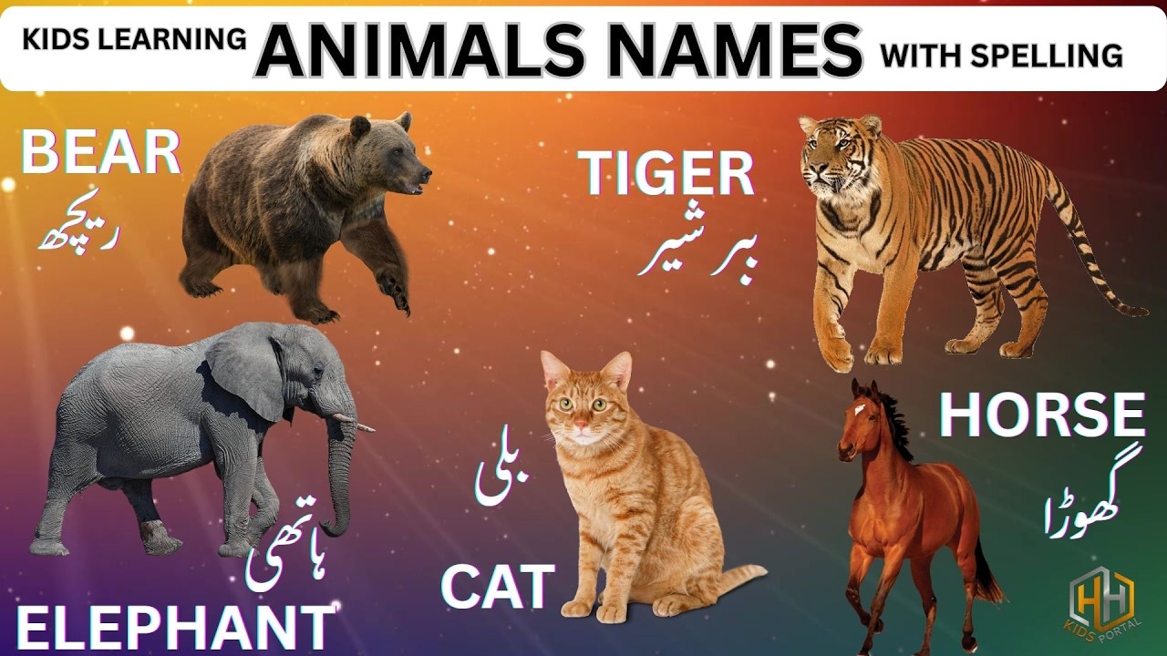 ANIMAL NAMES with Urdu Meaning for Kids Learning #learning #hhkidsportal #animals