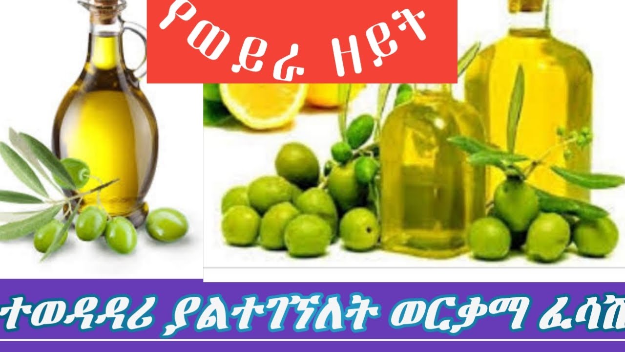 ጠቃሚ መረጃ // ወርቃማው ፈሳሽ ተብሎ የተሰየመው// የወይራ ዘይት ለጤና የሚሰጠው በረከት
