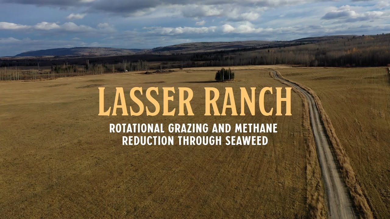 Organic Innovation Series Episode 5: Rotational Grazing & Methane Reduction  - Lasser Ranch