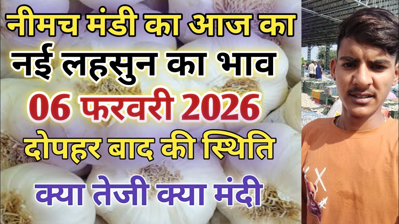 नीमच मंडी आज का नई लहसुन का भाव / Neemuch mandi bhav today / Neemuch mandi lahsun bhav