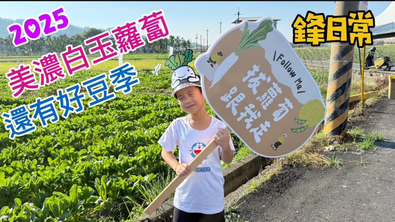 小小農夫#8 2025美濃白玉蘿蔔還有好豆季 美濃拔蘿蔔 一日農夫體驗 親子活動　お得「大根」詰め放題
