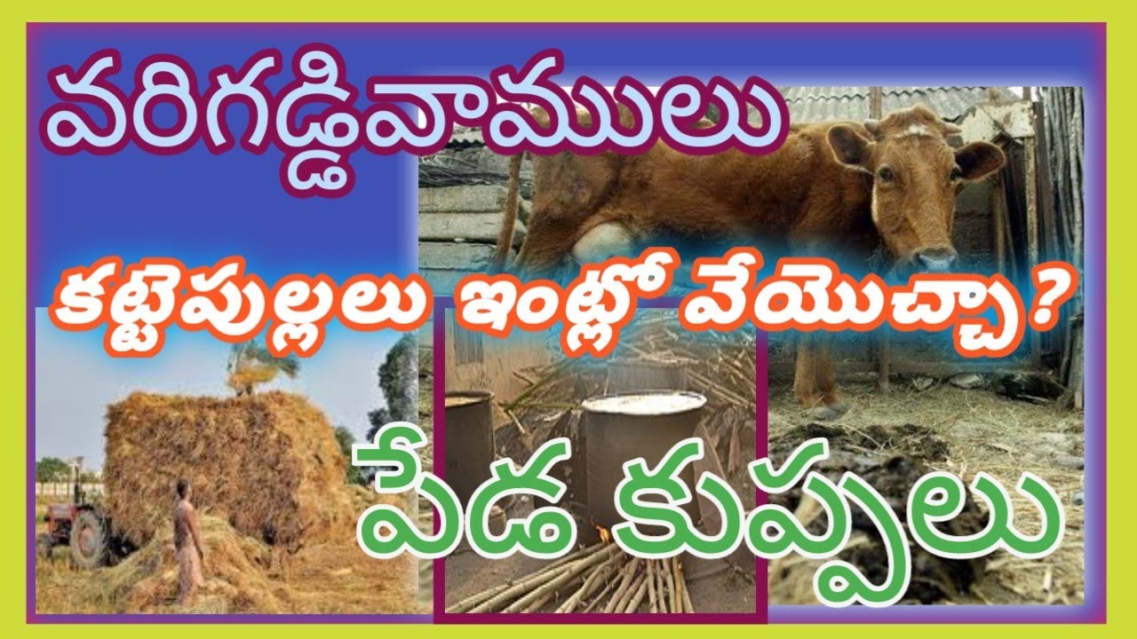 వాస్తు రీత్యా గడ్డివాములు | Best Vasthu chitkalu | vasthu remadies | @VastuTipsTelugu