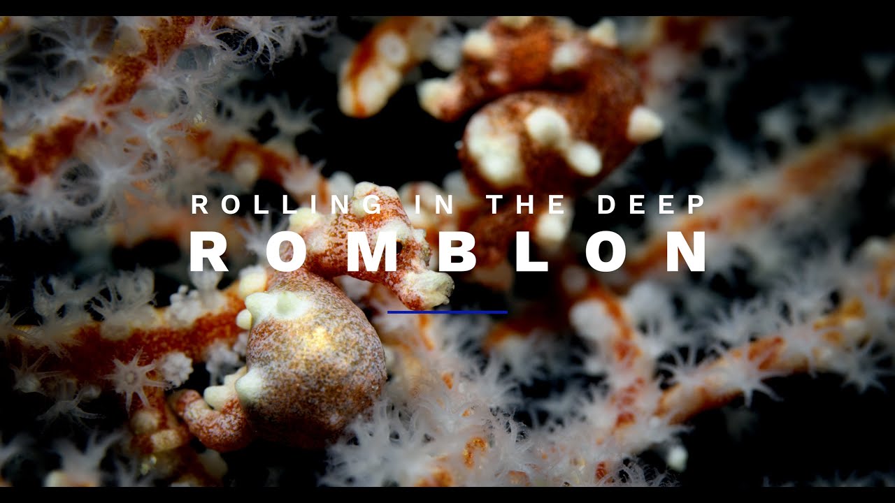 Rolling in the Deep - #24 - Romblon