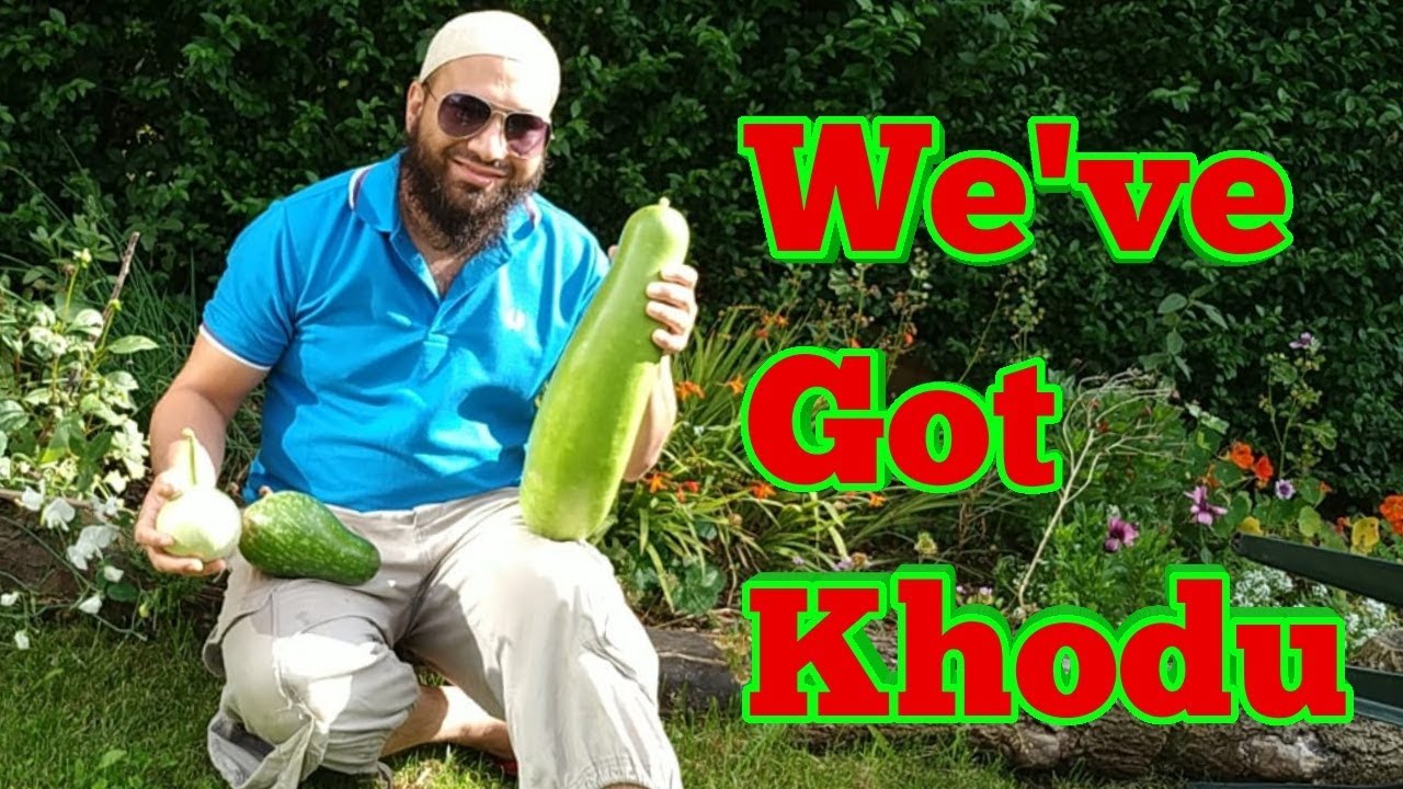 How To Grow Bottle Gourds UK - Bangla Khodu Harvest