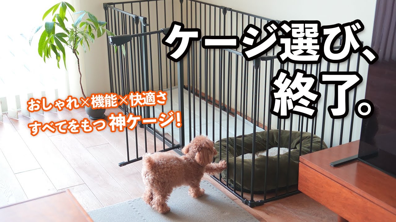 【理想のケージ】正直なめてた…これ、もう家具です｜CITYDOG シンプルモダンケージ