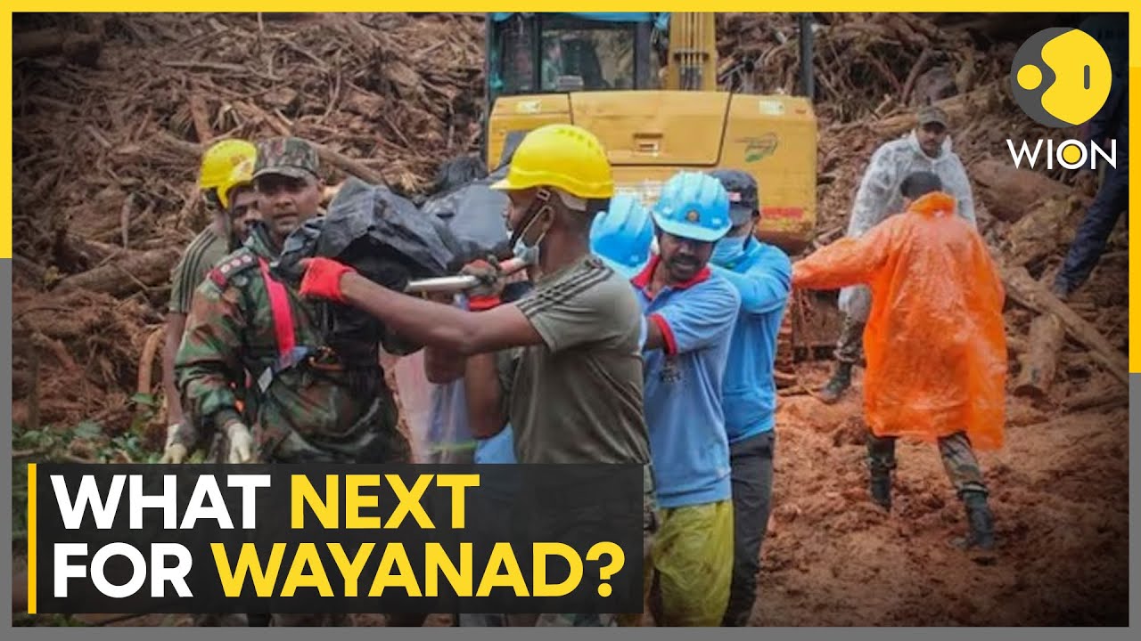 Wayanad landslides: Landslide horror, focus shifts to rehabilitation | WION