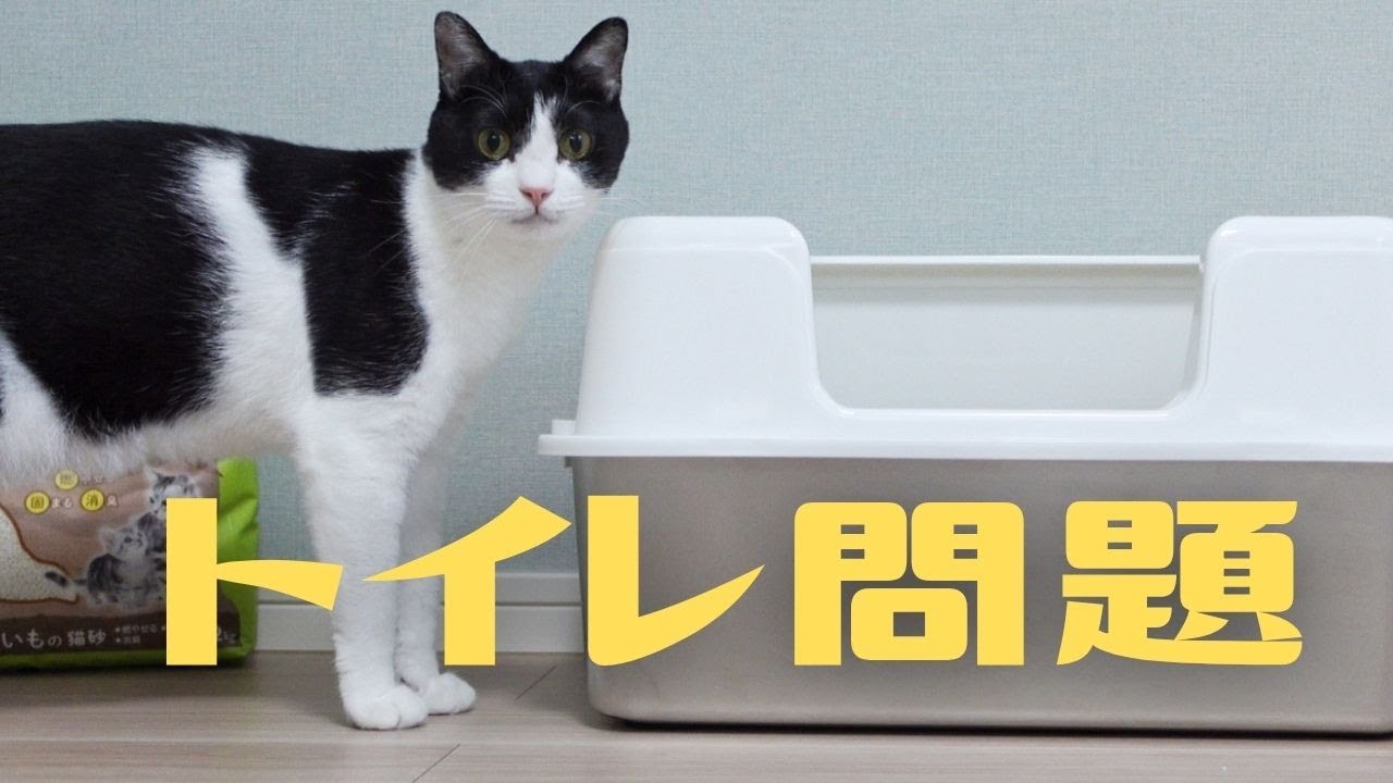 最強のコンビを見つけたかもしれない
