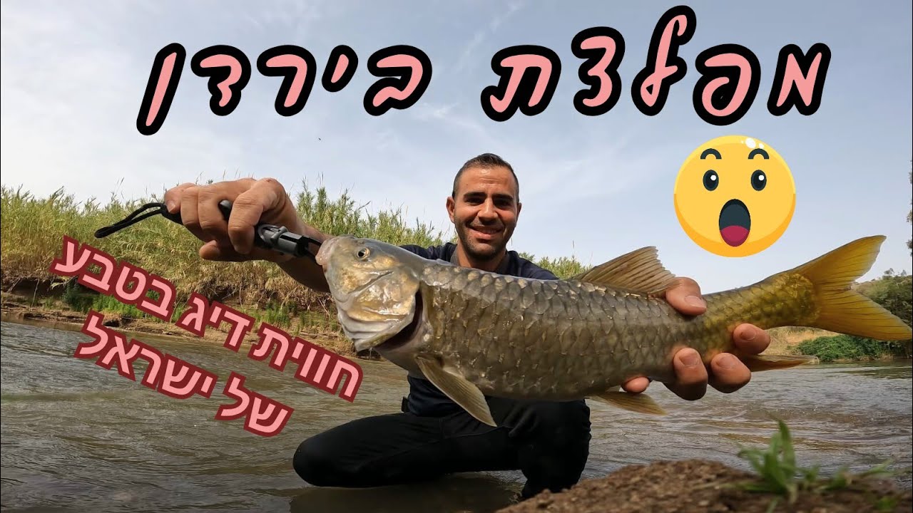 מפלצת בירדן באזור גשר אריק מפלס נמוך אבל מטיילים בטבע עד שמוצאים את הדגים הגדולים 🤩