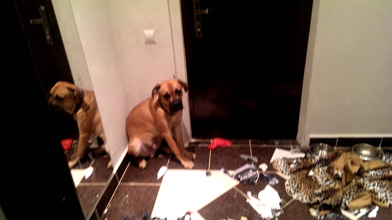 Cum sa distrugi o casa in 30 de minute