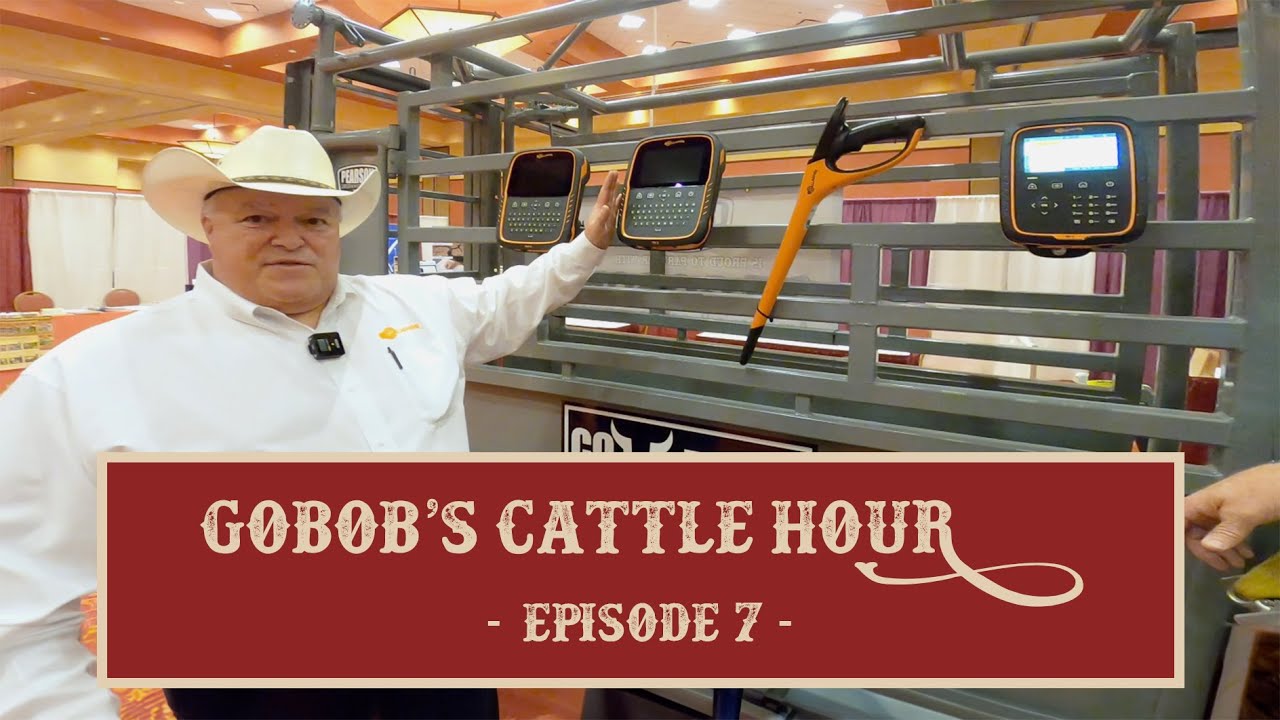 GoBob's Cattle Hour - Episode 7: Gallagher Products & the Pearson CowBoss