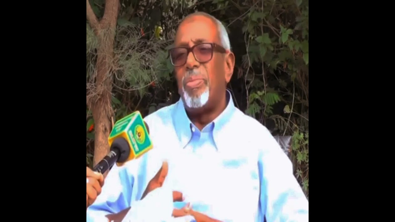 Aasaska Ciidanka Qaranku wuxuu qayb ka ahaa dhismihii qaranimo ee JSL Qaybta koowaad