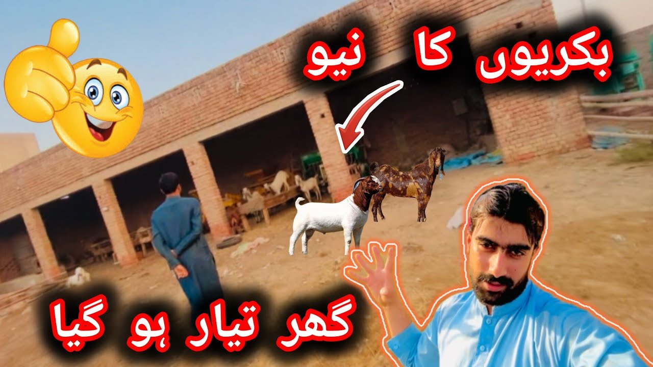 New House For Goats 🐐 | Village Daily Vlog