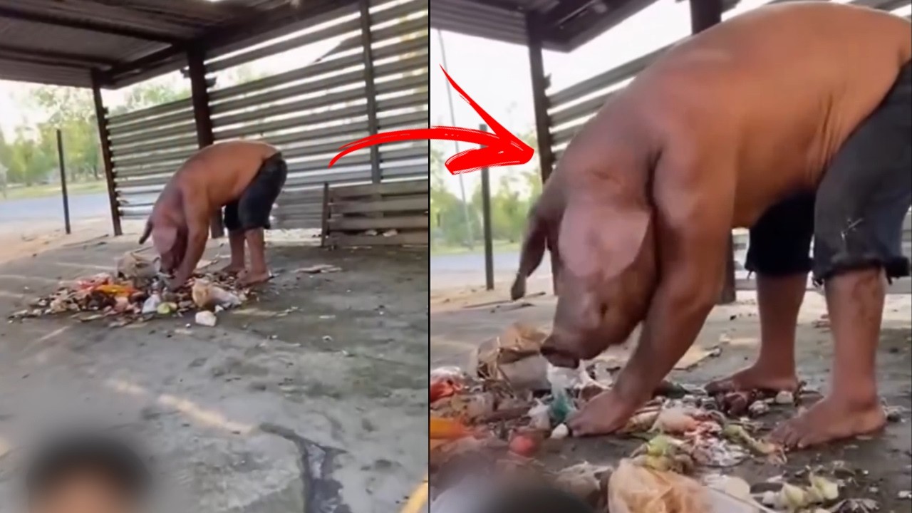 SE VOC&Ecirc; ACHAVA QUE TINHA VISTO TUDO ASSISTA ESSE V&Iacute;DEO BIZARRO V&Iacute;DEOS ASSUSTADORES