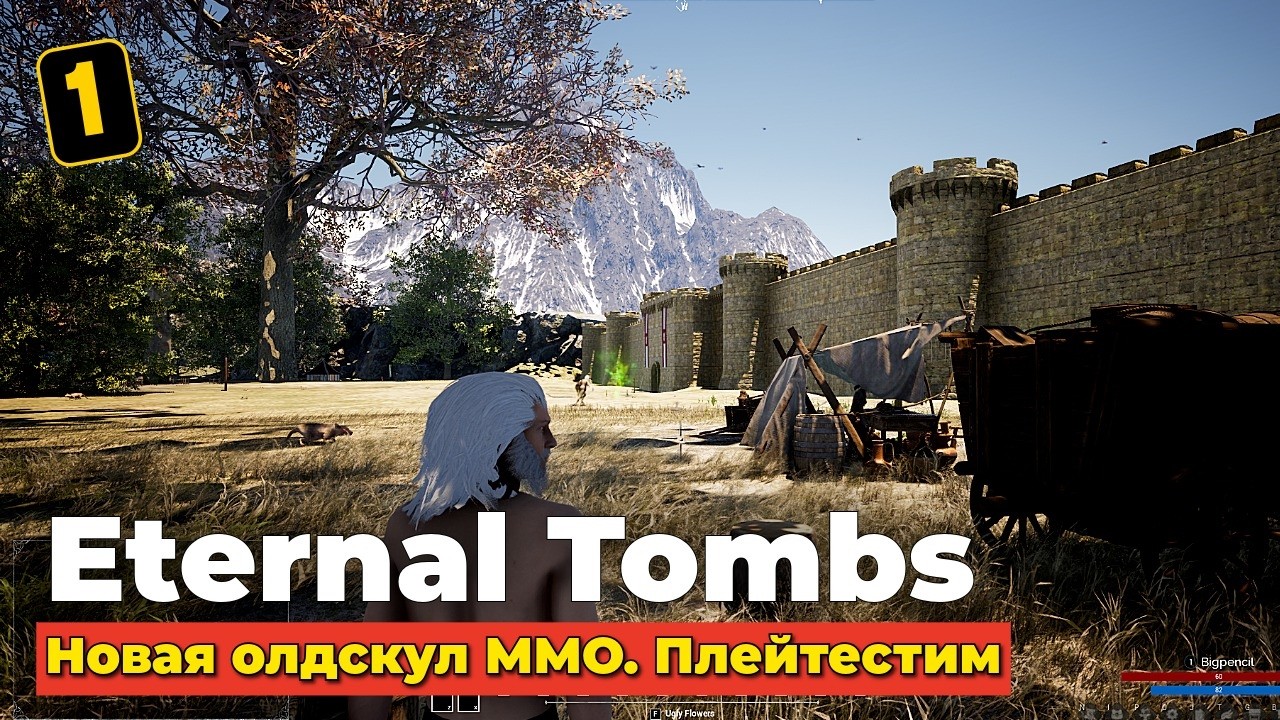 НОВАЯ ОЛДСКУЛ ММО ETERNAL TOMBS - ПЛЕЙТЕСТИМ - ЧАСТЬ 1