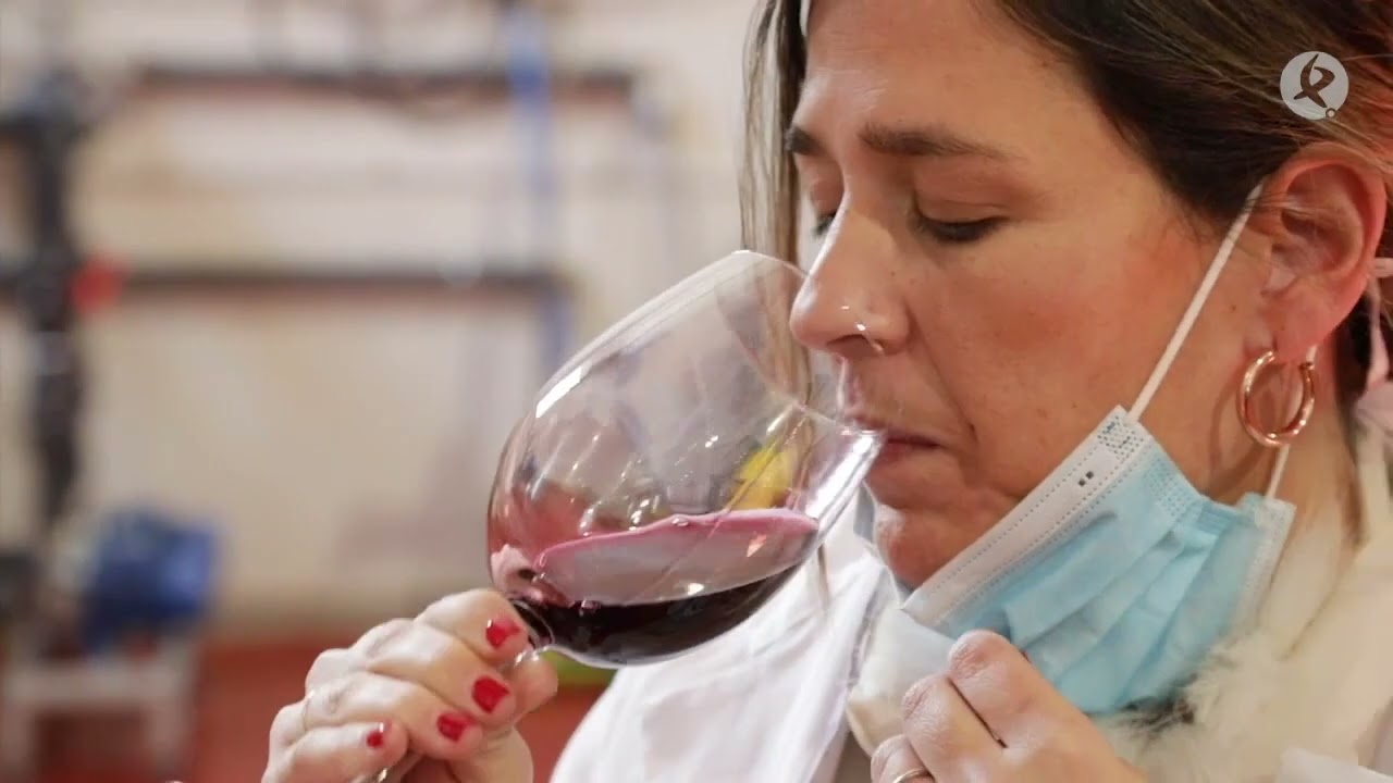 Así es la única bodega que existe en el nordeste de Extremadura | La besana en verde
