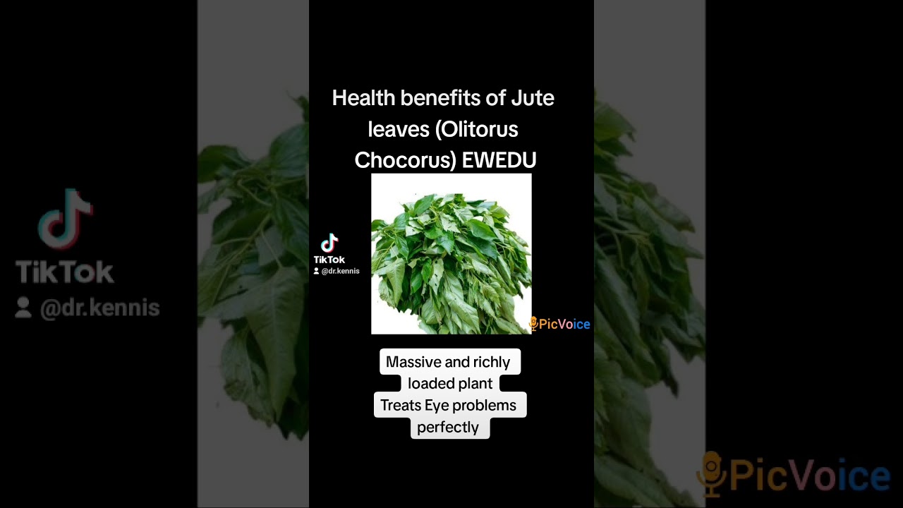 health benefits of Jute leaves - EWEDU