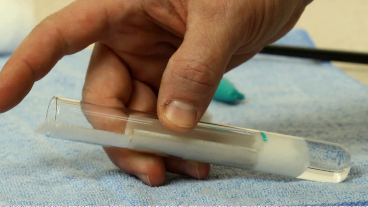 Genesis Test Tube System For Ants
