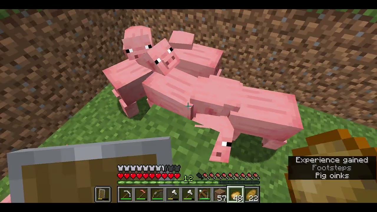 DerpyPurpy Minecraft 3-Zombie Troubles!