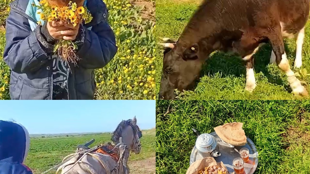 روتين ديالي اليومي مع وليداتي أجواء ممتعة في طبيعة 💚🌹