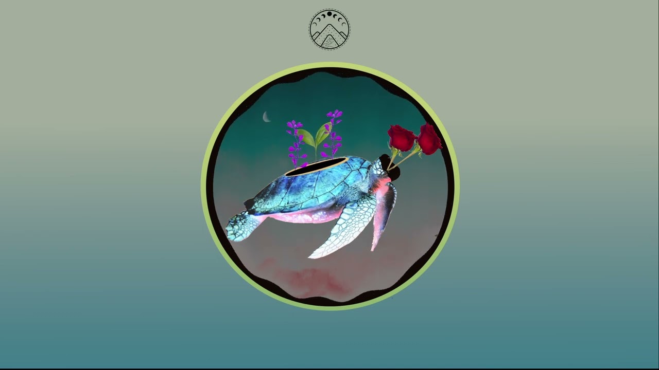 Pássaro - Assum Preto