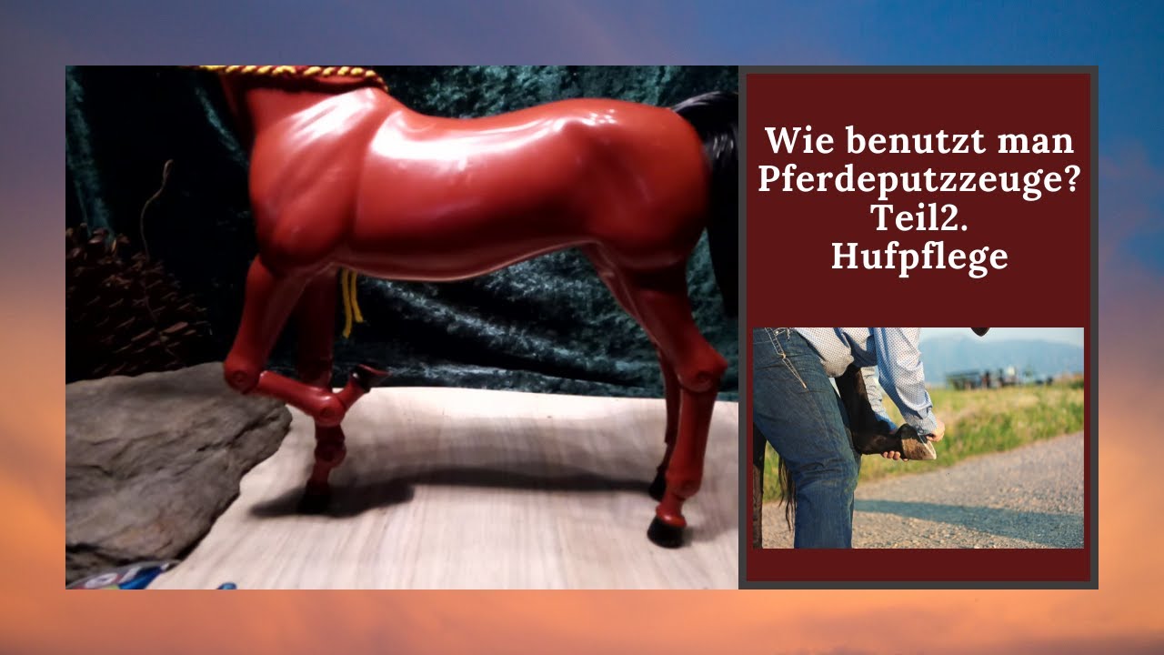 Wie benutzt man Pferdeputzzeuge? ➔ Teil2 Hufpflege ➔ Grundausstattung