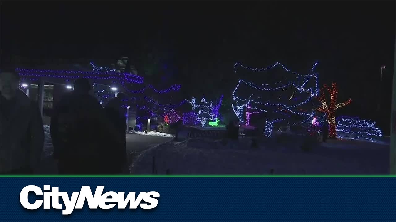 Zoolights returns in Calgary