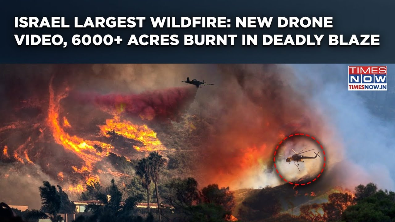 Israel's Largest Wildfire: New Drone Video Out| Watch 6000+ Acres Of Land Burnt In Apocalyptic Blaze