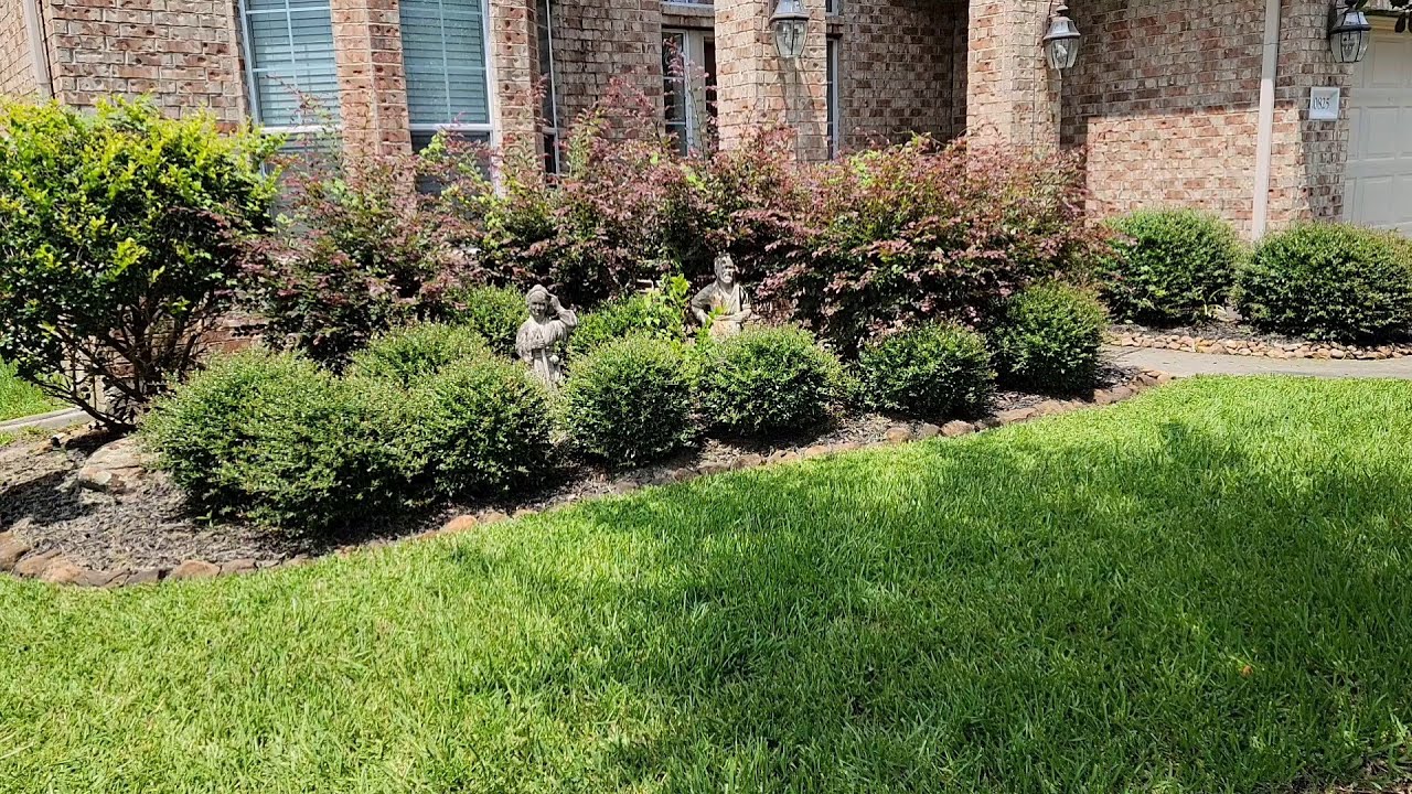 Shrub & Hedge Trimming ▶1