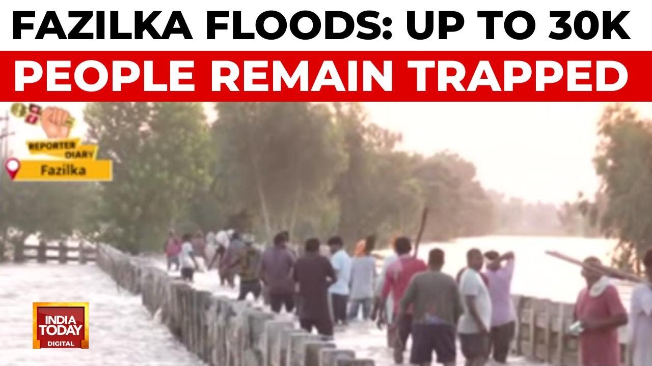 'The NDRF Team Has Helped A Lot': Fazilka Flood Victim Kuldeep Singh Praises Rescue Efforts