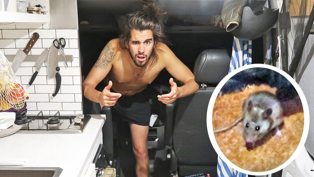 VAN LIFE INTRUDER