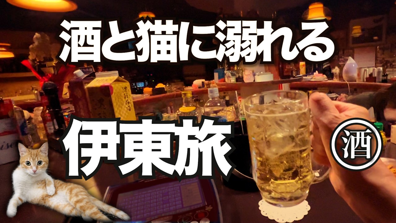 猫宿とスナック。昭和が残る伊東ひとり酒旅