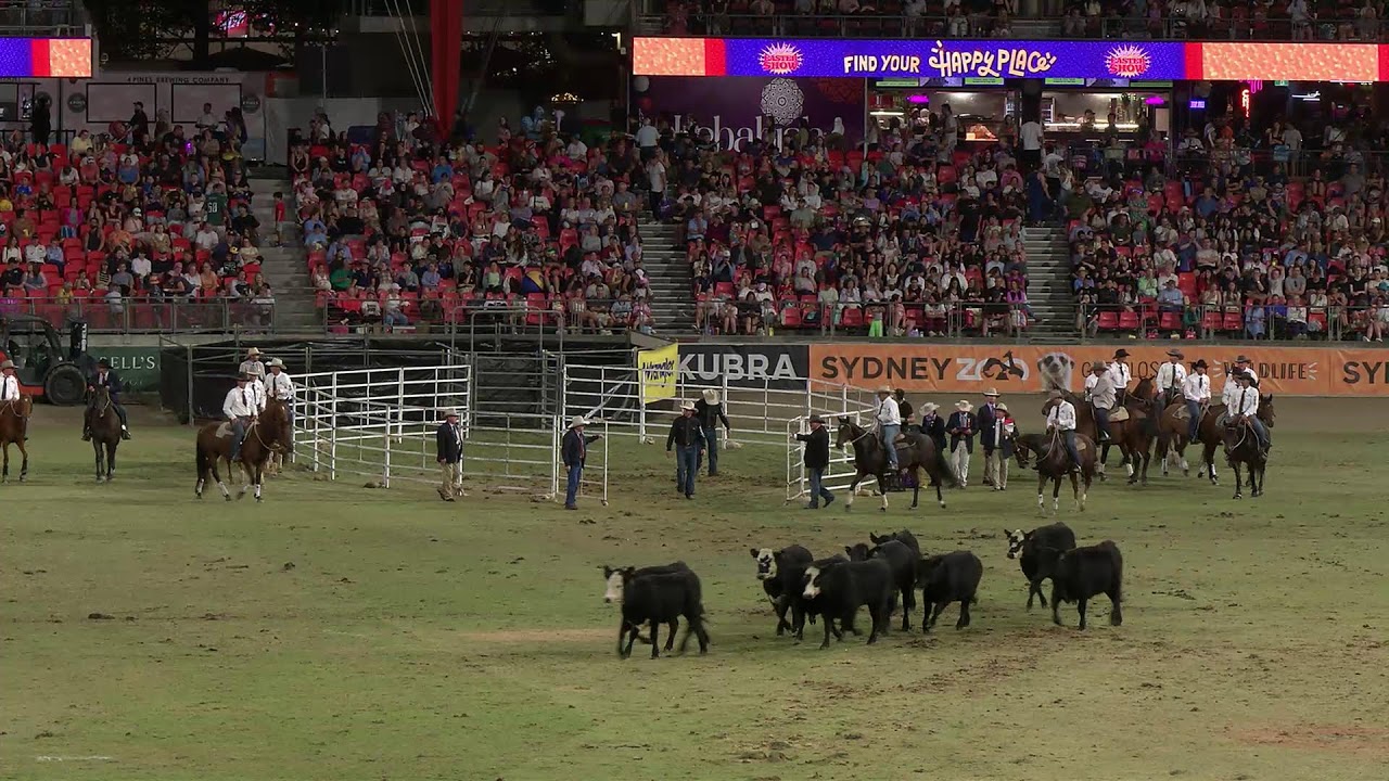 Sydney Royal Easter Show | Australian National Anthem & World Championship Campdraft Round 1